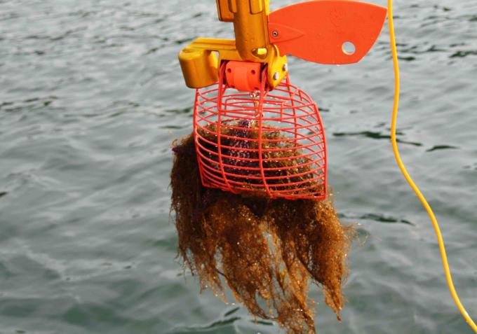 Fixed Camera Catcher VVL-SS-A Crab Catcher Salvage